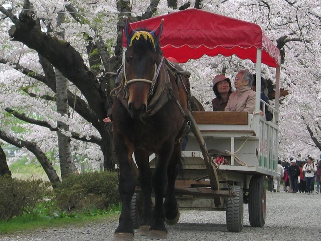 Yamayuri No Yado Hanamaki Exterior foto